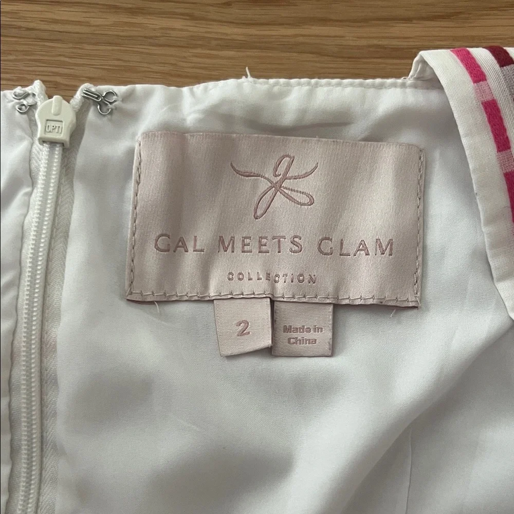 Gal Meets Glam Dress - Picture 5 of 5